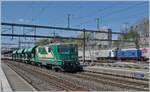 
Die Die BAM MBC Re 4/4 II (UIC 91 85 4420 506-8 CH-MBC) hat mit  mit ihrem Kieszug von Gland nach Apples Morges erreicht, wo der Zug f�r die Weiterfahrt auf Rollb�cke verladen wird. Im Hintergrund des Bildes seht die Travys Am 846 601. 

16. April 2026