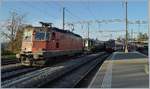 Während die SNCF 141 R 568 auf einen Nebengleis mit Waser versorgt wird, rangiert die mitgereiste SBB Re 430 357-4 die Komposition der Herbstrundfahrt  Train Chasse  in Palézieux auf ein freies Gleis.

26. Okt. 2019