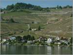 Weit oben in den Weinbergen des Lavaux zieht die Die SBB  Rote Kreuz  Werbelok 460 041-7 ihren IR Richtung Luzern.