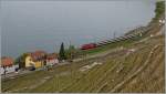 SBB Re 460 mit dem IR 1413 nach Brig bei Le Dézaley.