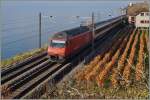 SBB Re 460 049-0 mit einem IR bei den letzten bunten Herbst-Blättern bei St Saphorin.