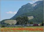 Eine Re 460 mit dem IR 1813 von Genève Aéroport nach Brig zwischen Roche VD und Yvoire.