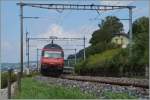 SBB Re 460 042-5 mit einem IR kurz nach Grandvaux.