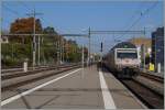 Die SBB Re 460 041-7 red cross erreicht mit einem IR nach Genève nun Morges.