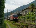 Im abendlichen Gegenlicht manöveriert die Re 460 062-3 in Locarno unter mediterraner Vegetation ihre Wagen an den IR Richtung Norden.