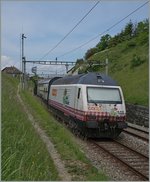 Das  Tischtuch  (die Re 460 083-9) schiebt einen IC von St Gallen nach Genève und konnte hier kurz vor Bossière fotogarfiert werden.