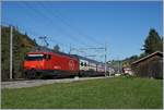 Die SBB Re 460 054-9 mit einem IC nach Brig bei der Durchfahrt in Mülenen.