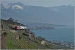 Die SBB Re 460 092-9 ziert mit ihrem Dosto 2000 RE 30266 von St-Maurice nach Genève Aéroport die Landschaft des Lavaux oberhalb von St-Saphorin.