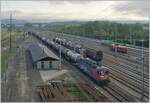 Die SBB Re 6/6 11626 (Re 620 026-5)  Zollikofen  mit  Schnautz  steht in Lausanne Triage  mit Güterzug. 

2. Sept. 2020