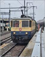 Da die BAM /MBC eigene Re 4/4 II 506 (Re 420 506) zur Zeit in der Revision in Bellinzona weilt, hat die BAM MBC die IRSI/IGE  Rheingold  Re 4/4 II 11387 (Re 421 387-2) angemietet.