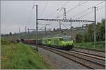 Während meine lieben Fotokollegen im Hintergrund ihre gemachten Bilder bereits betrachten, bin ich noch am fotografieren: mit der BLS Re 465 002 an der Spitze (und einer weiteren BLS Re 465 in Vielfachsteuerung) erreicht ein Zuckerrübenzug von Auvernier.
8. Okt. 2025 Während meine lieben Fotokollegen im Hintergrund ihre gemachten Bilder bereits betrachten, bin ich noch am fotografieren: mit der BLS Re 465 002 an der Spitze (und einer weiteren BLS Re 465 in Vielfachsteuerung) erreicht ein Zuckerrübenzug von Auvernier.
8. Okt. 2025
