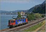 Die SBB Re 6/6 11613 (Re 620 013-3)  Rapperswil  kurz nach Villeneuve beim Château de Chillon als Lokzug auf der Fahrt in Richtung Lausanne.

30. Juni 2025