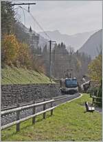 Kurz nach Gstaad erklimmt die MOB Ge 4/4 800 mit ihrem GoldenPass Express auf der Fahrt von  Montreux nach Interlaken die Steigung in Richtung Schönried. 

13. Oktober 2024
