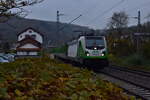 STEG 4487 001 mit beladenen  Holzzug durch Neckargerach gen Neckarelz am  13.11.2024