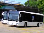 (277'542) - Intertours, Domdidier - Nr. 646/FR 300'646 - Mercedes am 4. Juli 2025 in Bern, Schtzenmatte