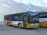 (223'830) - Grindelwaldbus, Grindelwald - Nr.