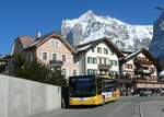 (233'274) - Grindelwaldbus, Grindelwald - Nr.