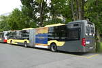 (278'257) - STI Thun - Nr. 714/BE 427'714 - Mercedes am 1. August 2025 bei der Schifflndte Thun