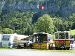 (254'008) - Toldo, Zrich - ZH 124'701 - Saurer/R&J (ex Peter, Pfaffnau) am 19.