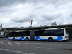 (262'427) - BOGG Wangen b.O.
