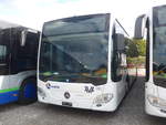 (222'030) - Limmat Bus, Dietikon - (613'350) - Mercedes am 18.