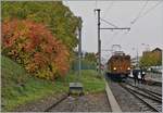 La Dernière du Blonay - Chamby - das 50.