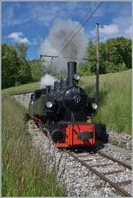 Die G 2x 2/2 105 der Blonay-Chamby Bahn ist auf dem Weg nach Chamby und erreicht in Kürze den Haltepunkt Cornaux.