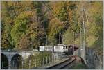  La DER de la Saison!  (Saisonabschlussfeier der Blonay-Chamby Bahn 2022) - Der als LLB ABFeh 2/4 10 angeschriebene BCFeh 4/4 der Blonay-Chamby Bahn mit passenden LLB Wagen verlässt bei Vers Chez Robert den Baye de Clarens Viadukt. 

30. Oktober 2022