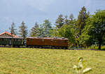 Die ehemalige Berninabahn RhB Ge 4/4 81 der Museumsbahn Blonay–Chamby, ex RhB Ge 4/4 181, ex BB Ge 4/4 81, ex BB Ge 6/6 81, fährt am 27 Mai 2023 mit einem kurzen Zug von Chaulin nach Blonay