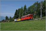 Ein kleiner Zug auf grosser Fahrt: Der RhB Bernina Bahn ABe 4/4 I N° 35 der Blonay Chamby Bahn ist mit dem Bernina Bahn As2 und dem MOB B4 N° 61 (beide auch Blonay-Chamby) als  Valrose Nostalgie Express  kurz vor Les Avants auf der Fahrt von Montreux nach Rougemont. Im Gegensatz zum vorangegangenen Bild ist hier der Zug das Hauptmotiv.

15. Juni 2025