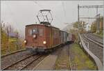 La DER de la Saison / Das Saison Ende der Blonay Chamby Bahn 2025 - Seit einigen Jahren zeigt die Blonay Chamby Bahn zum Saison Ende mit einem verdichteten Fahrplan noch einmal ihre herrlichen Fahrzeuge im Einsatz: Die BOB HGe 3/3 N° 29 der Blonay Chamby Bahn erreicht mit dem Reisezug 2907 von Blonay nach Chaulin den Halt Chamby. 
25. OKt. 2025 La DER de la Saison / Das Saison Ende der Blonay Chamby Bahn 2025 - Seit einigen Jahren zeigt die Blonay Chamby Bahn zum Saison Ende mit einem verdichteten Fahrplan noch einmal ihre herrlichen Fahrzeuge im Einsatz: Die BOB HGe 3/3 N° 29 der Blonay Chamby Bahn erreicht mit dem Reisezug 2907 von Blonay nach Chaulin den Halt Chamby. 
25. OKt. 2025