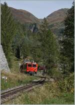 Die von der MGB übernommene Gm 4/4 61 der Dampfbahn Furka Bergstrecke folgt dem im Wald verschwindenden Dampfzug mit einem Löschwagen (im Bild nicht zu sehen) oberhalb von Oberwald. 

30. Sept. 2021