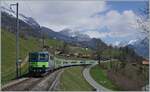 Die BLS Re 4/4 II 501 mit dem RE 4068 von Zweisimmen nach Interlaken Ost bei Enge im Simmental.