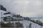 Die MOB Ge 4/4 8002 hat mit dem GPX 4065 Planchamp hinter sich gelassen und wird in Kürze Montreux erreichen, rechts im Bild ist bereits ein Stück vom Genfer See zu erkennen.