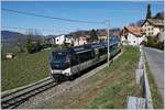 Die MOB Ge 4/4 8001 ist mit ihrem MOB Panoramic Express von Zweimmen nach Montreux bei Planchamp schon fast am Ziel ihrer Fahrt.