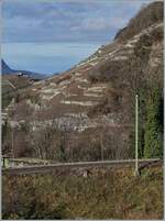  ... hier fehlte nur noch ein AL-Zug auf der AL-Strecke im Hintergrund...  nun Armin, den liefere ich dir hiermit nach, dafür fehlt leider der ASD Zug im Vordergrund. 
Ein BDeh 4/4 schiebt zwei Beiwagen/Steuerwagen bei Aigle über die steile Zahnradstrecke in Richtung Leysin.

4. Jan. 2024