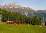 
Geführt von den RhB beiden ABe 4/4 III Triebwagen Nr. 55  Diavolezza  und Nr. 56  Corviglia  erreicht der Bernina-Express (RhB D 973) am 13.09.2017 bald den Bahnhof Pontresina. 

Rechts die Strecke Pontresina - Samedan.