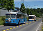 Jahresrückblick 2016  von Walter Ruetsch, Riedholz  Mai  VBL:  75 Jahre Trolleybus in Luzern  Zu diesem Anlass verkehrte  erstmals der frisch aufgearbeitete FBW Trolleybus aus dem Jahre 1950