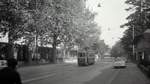 Die ehemalige Tramlinie 1 (Betriebseinstellung 11.Oktober 1965): Wagen 150 in der Laupenstrasse, Richtung Westen fahrend.