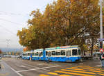 Herbstliches Zürich: Tram 2000 Komposition 2016 + 2309 am Bellevue.