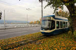 Herbstliches Zürich: Einfahrt des Cobra 3011 in Tiefenbrunnen.