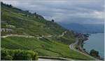 Lavaux, mit einem Regionalzug auf der Train des Vignes Strecken (Puidoux-Chexbres -Vevey und einem Flirt Richtung Lausanne kurz vor Rivaz.