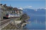 Ein SBB RABe 511 ist bei St-Saphorin auf der Fahrt von Vevey nach Genève und nutzt dabei das bergseitige Gleis.