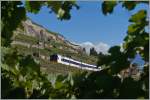 Oberhalb von St-Saphrin, inmitten der Reben fhrt ein SBB Domino als S 31 ber die  Train des Vignes  Strecke Richtung Vevey.