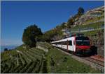 Ein dreiteiliger SBB-Domino auf der  Train des Vignes -Strecke kurz vor Chexbrex-Village.