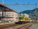 Es waren die letzte Tage des  Train des Vignes  und der schne Zug hat eine Neubearbeitung meiner Bilder, so finde ich, verdient.