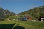 Die MOB Ge 4/4 8001 fährt im frühen Morgenlicht mit dem ersten GoldenPass Express des Tages durch Rossinière in Richtung Zweisimmen.