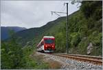 Ein TMR  NINA  unterwegs als Regionalzug 26120 von Martigny nach Le Chable zwischen Bovernier und Sembrancher.