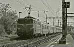 Die SNCF BB 25236 schiebt bei Vernier-Meyrin einen TER von Lyon in Richtung Genève.