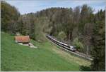 Ein SBB RABDe 560  Domino  ist als TPF S-Bahn zwischen Courtepin und Pensier auf dem Weg nach Fribourg.